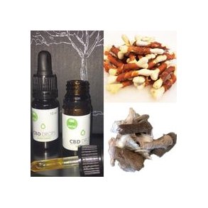 Hundefoder- godbidder og tilskud