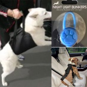 Til hunden (Lys -Sikkerhedsseler- reflekser )