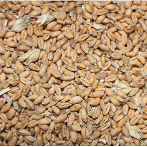 -Foder-fredagsslik og vitaminer-mineraler