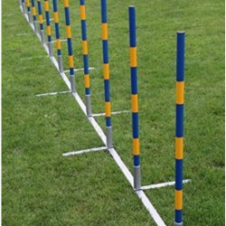 Agility Slalom Bane med 12 pinde professionel 