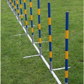 Agility Slalom Bane med 12 pinde professionel 