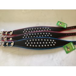 Greyhound/whippet halsbnd 