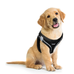 Topmast Airmesh Nylon sele