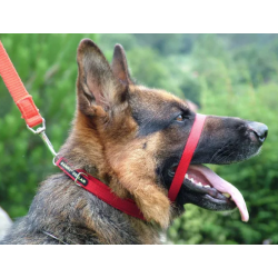 Canny Collar anti- tr�k