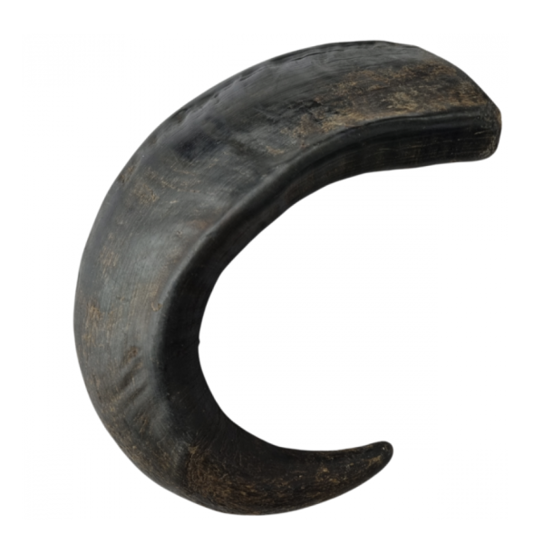 oksehorn xl ca 400 gram