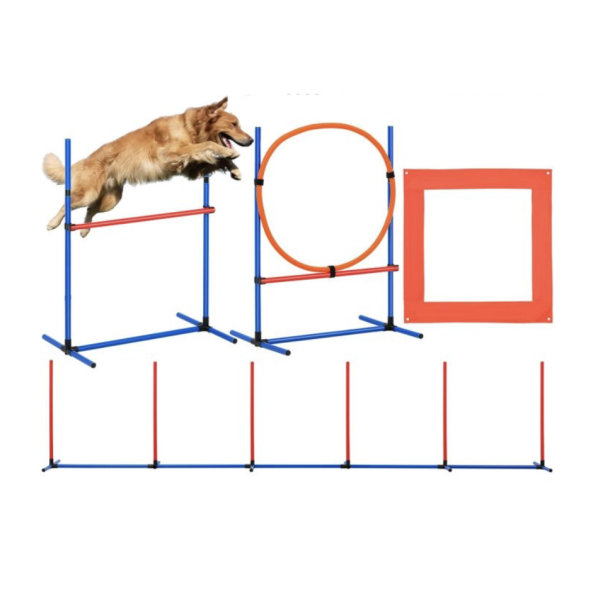 Agility starters�t