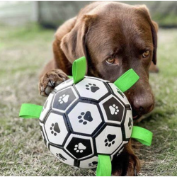 Aktivitetsbold med kastestropper