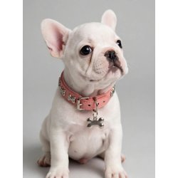Kunstl�der pink halsb�nd m/bones