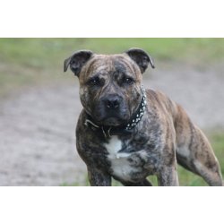 Hndlavet lder halsbnd med sten.