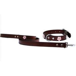 L�der halsb�nd/line s�t i brunt l�der 2,5/55 cm