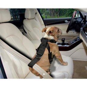 Sikkerhedssele til bilen