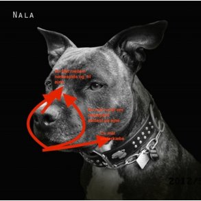 Mundkurv designet (demo model)