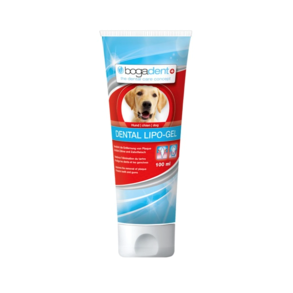 Bogadent Dental lipo-gel