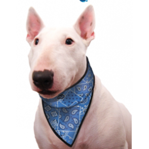 Aqua Cooling Bandanas