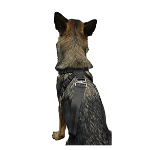 Sikkerhedselen til hunde