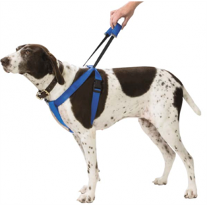 Dog control sele str 75-100 cm x 3cm sort