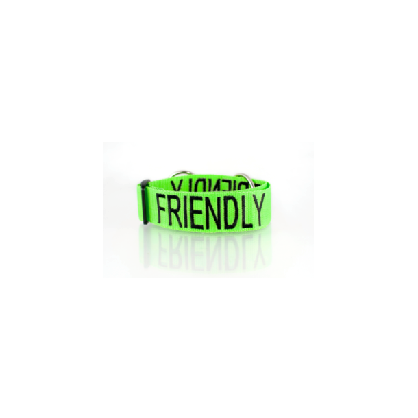 Friendly Dog