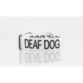 Deaf Dog 