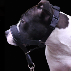 Halti sele i nylon og lder