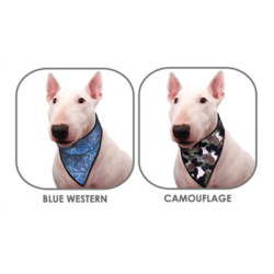 Aqua Cooling Bandanas