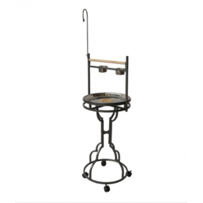 Papegje stander Duke