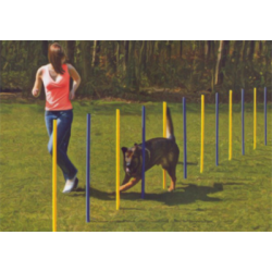 Agility Slalom pinde 6 stk
