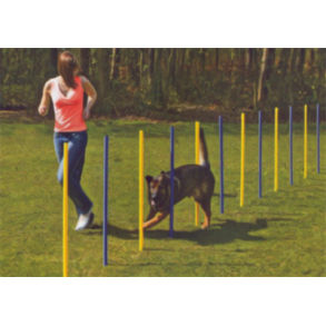 Agility Slalom pinde 6 stk