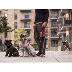 Dog Copenhagen urban trail Line pink 